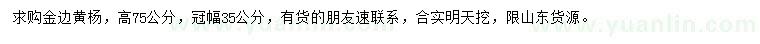 求购高75公分金边黄杨