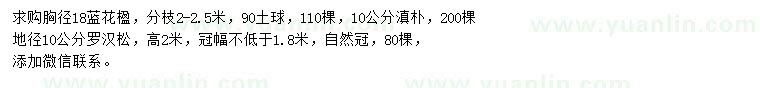 求购胸径18公分蓝花楹、地径10公分罗汉松