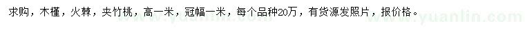 求购木槿、火棘、夹竹桃