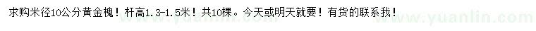 求购米径10公分黄金槐