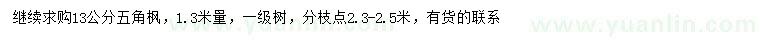 求购1.3米量13公分五角枫