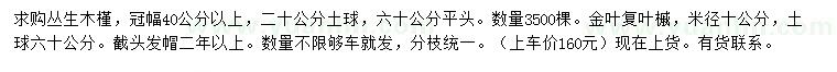 求购冠幅40公分以上丛生木槿、米径10公分金叶复叶槭