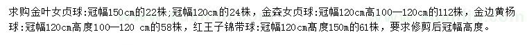 求购金叶女贞球、金森女贞球、金边黄杨球等