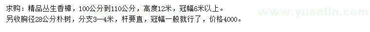 求购高12米丛生香樟、胸径28公分朴树