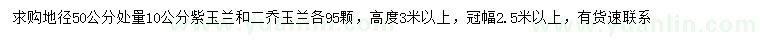 求购50量10公分紫玉兰、二乔玉兰