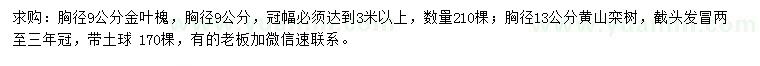 求购胸径9公分金叶槐、胸径13公分黄山栾树
