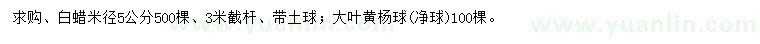 求购米径5公分白蜡、大叶黄杨球