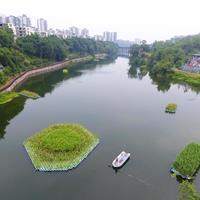 生态浮床河道景观绿化的作用漂浮湿地水生植物种植