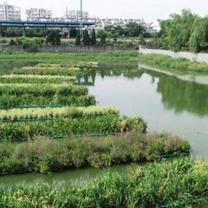 浮床_水上种菜自制浮床_河道景观绿化