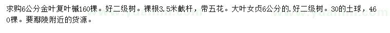 求购6公分金叶复叶槭、大叶女贞