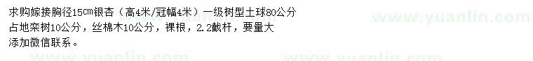 求购银杏、栾树、丝棉木