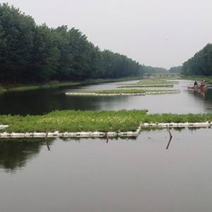 人工浮床_水上种菜自制浮床_绿化建设有限公司