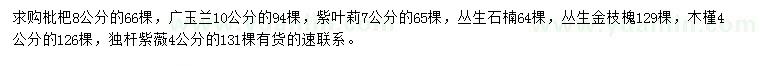 求购枇杷、广玉兰、紫叶莉等