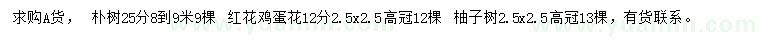 求购朴树、红花鸡蛋花、柚子树