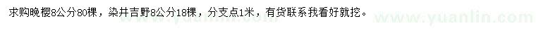 求购8公分晚樱、染井吉野