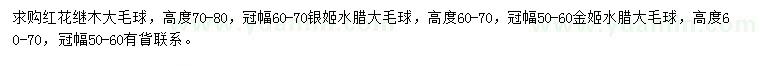 求購紅花繼木、銀姬水臘、金姬水臘
