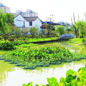 漂浮湿地_生态浮床图片_沉水植物