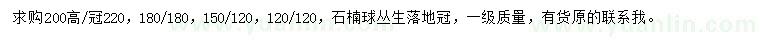 求购高120、150、180、200公分石楠球