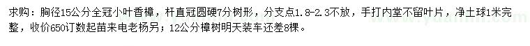 求购胸径15公分小叶香樟、12公分樟树