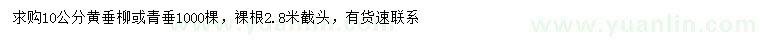 求购10公分黄垂柳、青垂