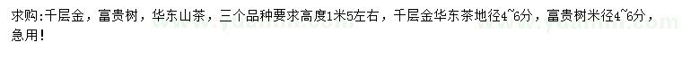 求购千层金、富贵树、华东山茶