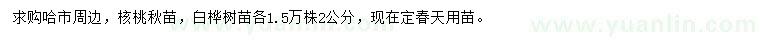 求购2公分核桃楸、白桦