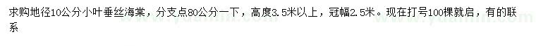 求购地径10公分小叶垂丝海棠