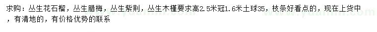 求购丛生花石榴、丛生腊梅、丛生紫荆等