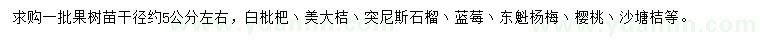 求购白枇杷、美大桔、突尼斯石榴等