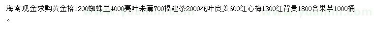 求购黄金榕、蜘蛛兰、亮叶朱蕉等