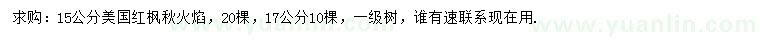 求购15、17公分美国红枫秋火焰