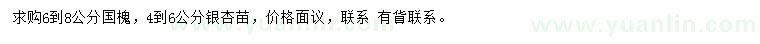 求购6-8公分国槐、4-6公分银杏