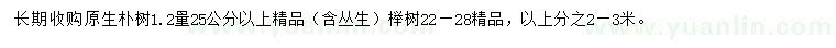 求购胸径25公分以上朴树、22-28公分榉树