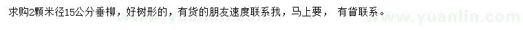 求购米径15公分垂柳