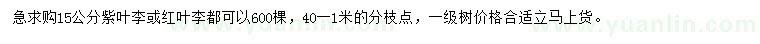 求购15公分紫叶李、红叶李