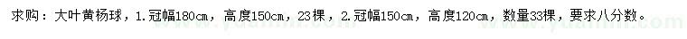 求购冠幅150、180公分大叶黄杨球