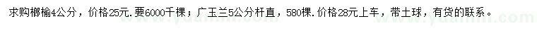 求购4公分榔榆、5公分广玉兰