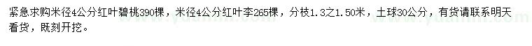 求购米径4公分红叶碧桃、红叶李