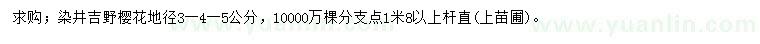 求购地径3、4、5公分染井吉野樱花