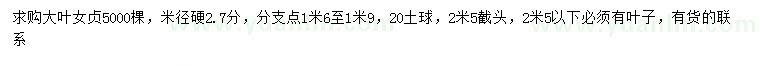 求购米径2.7公分大叶女贞