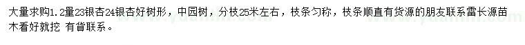 求购胸径23、24公分银杏