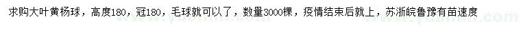 求购冠幅180公分大叶黄杨球