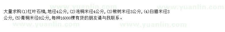 求购求购红叶石楠、泡桐、楸树、白腊、青桐