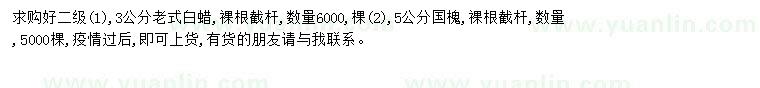 求购3公分老式白蜡、5公分国槐