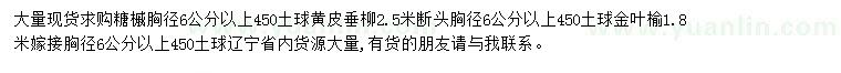 求购糖槭、黄皮垂柳、金叶榆