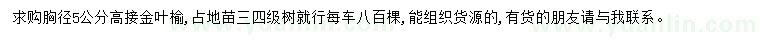 求购胸径5公分金叶榆