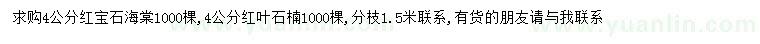 求购4公分红宝石海棠、红叶石楠