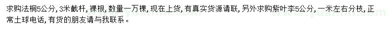 求购5公分法桐、紫叶李