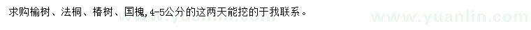 求购榆树、法桐、椿树等