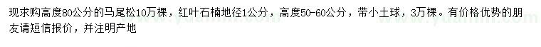 求购高80公分马尾松、高50-60公分红叶石楠